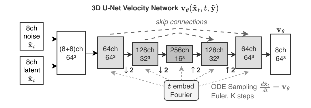 Wavelet-aware 3D U-Net architecture